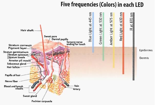 five frequencies led light therapy